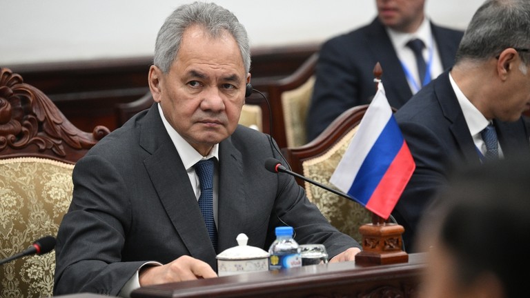Secretario del Consejo de Seguridad de Rusia, Sergei Shoigu. Foto: Sputnik