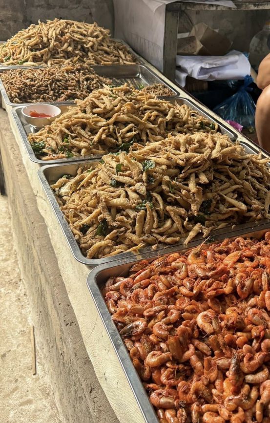 Cá, tôm sông Đà hấp dẫn du khách khi ghé thăm đền. Ảnh: Hải Đăng