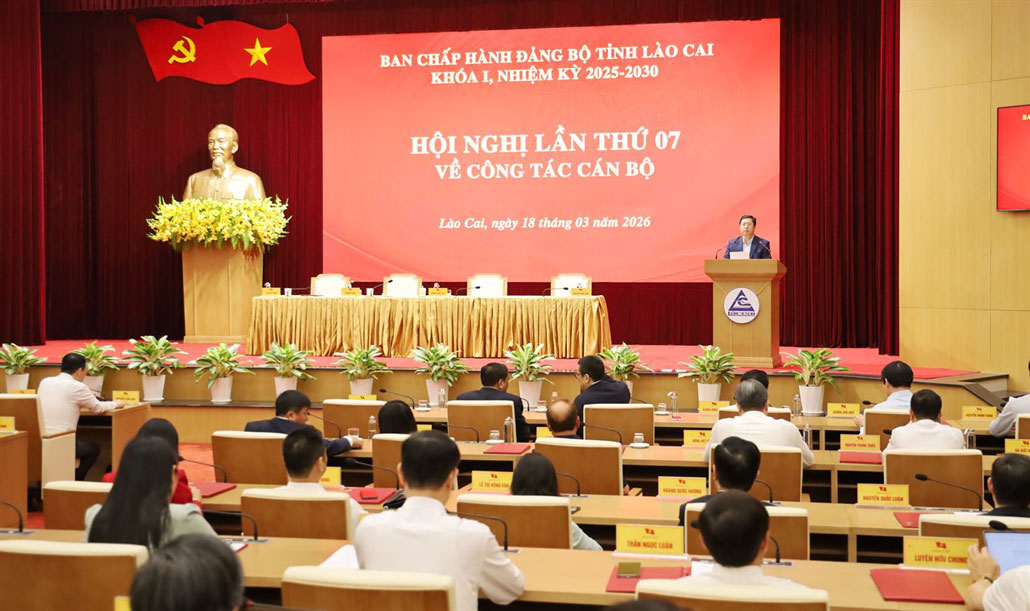 Overview of the conference. Photo: Nguyen Hien
