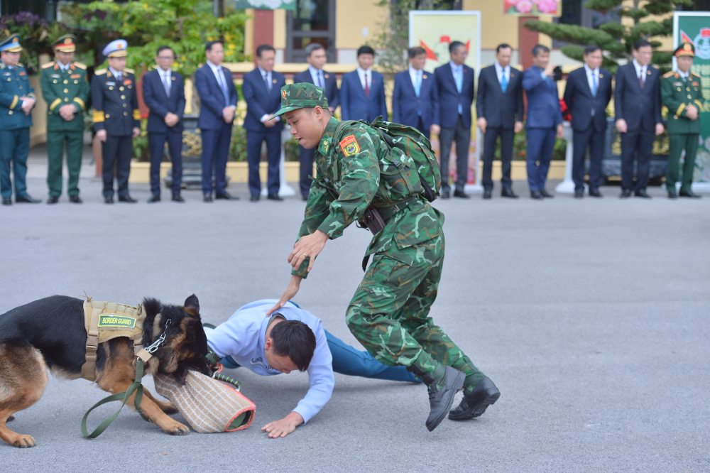 Simulated situation of border guards and nghiệp vụ dogs arresting drug criminals at Tra Co Border Guard Station (Quang Ninh). Photo: Tran Vuong