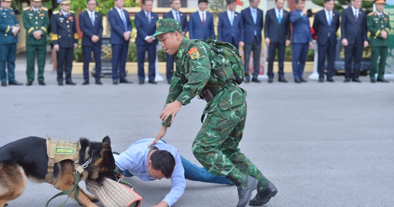 Diễn tập tình huống Bộ đội Biên phòng và chó nghiệp vụ chống ma túy