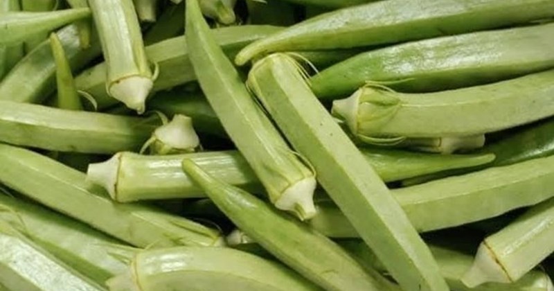 Tác dụng của việc uống nước đậu bắp ngâm hàng ngày