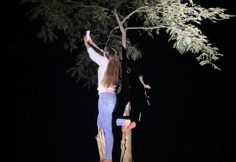 A young teacher in a mountainous village in Da Nang climbs a tree to "catch" intermittent phone waves. Photo: Nguyen Hoang