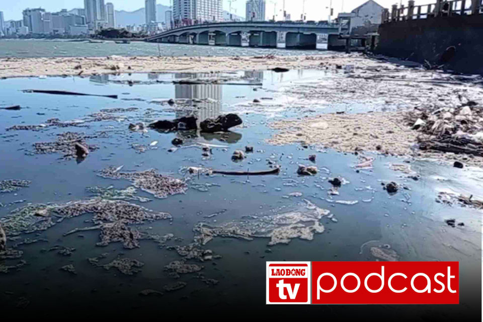 Morning news 19. 3: Tracing the source of black wastewater discharged into Nha Trang sea