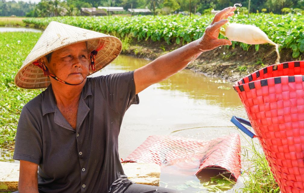 Many elderly workers still have to struggle to make a living