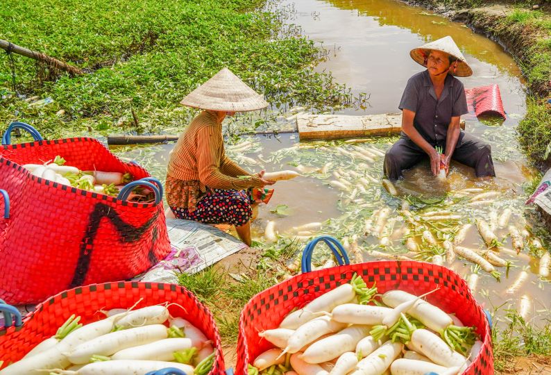 Lao động nông thôn bấp bênh theo mùa vụ, thu nhập thấp. Ảnh: Phương Anh