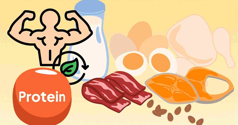 6 thói quen nhỏ giúp tăng cường hấp thụ protein