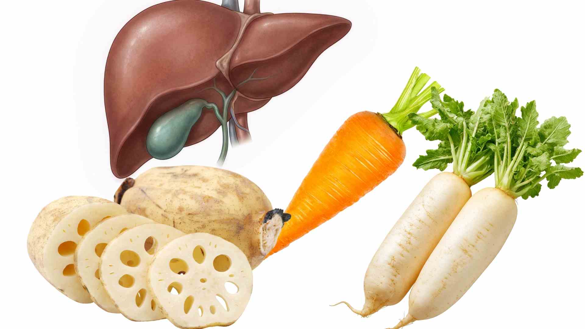 Some tubers are good for the body, helping to protect the liver. Graphics: Ha May