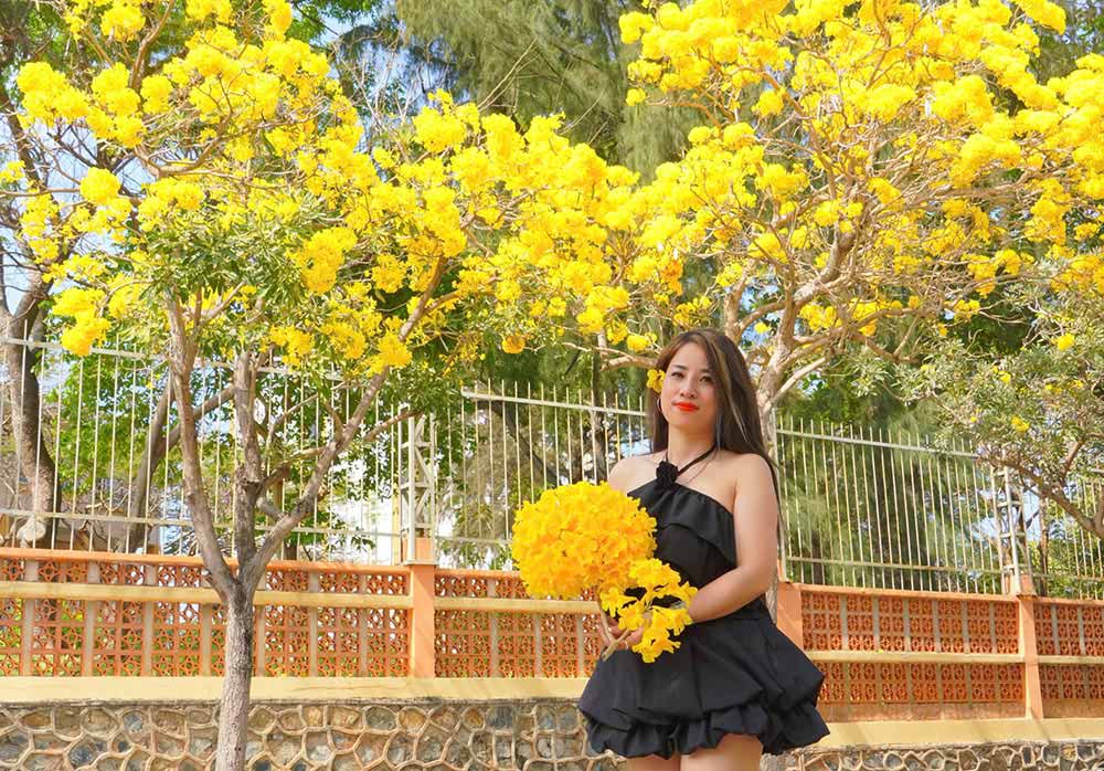 Many people come to Tran Quy Cap street in Vung Tau to check-in with brilliant yellow flowers. Photo: Nam Ngoc