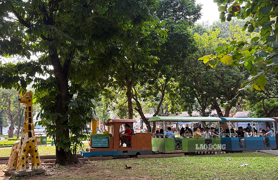Chuyến tàu hỏa đưa khách ngắm cảnh vòng quanh công viên Thống Nhất. Ảnh: Ý Yên