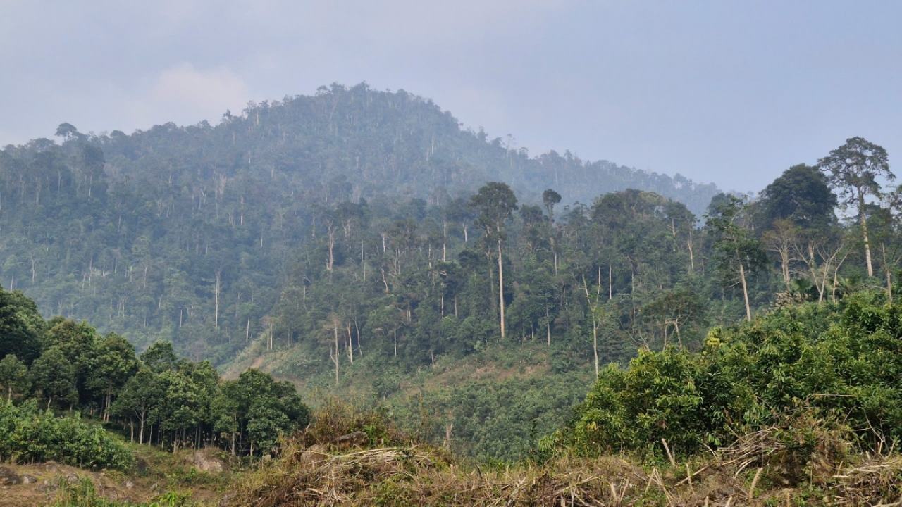 Khu bảo tồn thiên nhiên Nà Hẩu là nơi có nhiều loại động, thực vật quý hiếm. Ảnh: Văn Đức