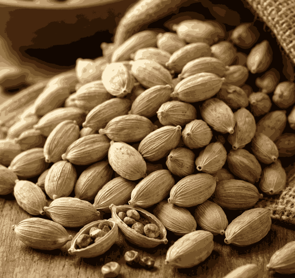 Barringtonia acutangula is a precious spice that supports liver detoxification and body detoxification. Graphic photo: Quang Minh.