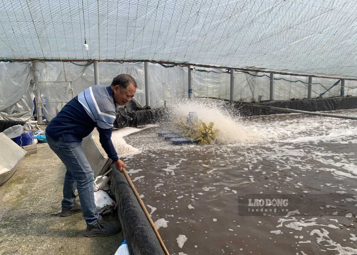 Khu vực đầm nuôi tôm được ông Ba đầu tư công nghệ cao. Ảnh: Lương Hà