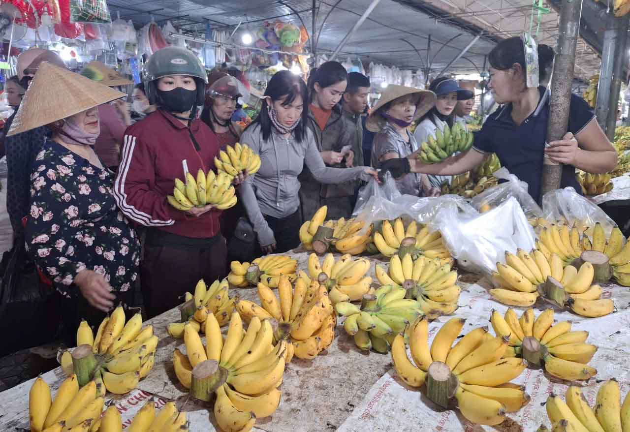 Chuối có giá khá cao so với ngày thường. Ảnh: Trần Tuấn