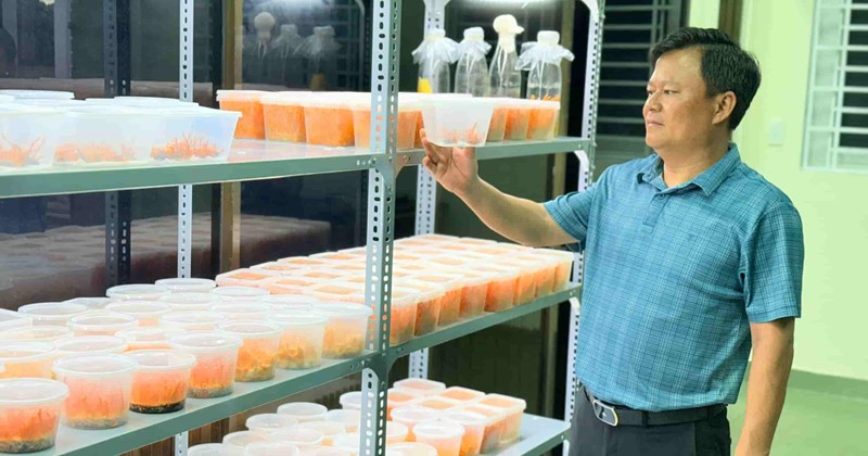 Nhà khoa học Đắk Lắk mong muốn đóng góp kiến thức cho Quốc hội
