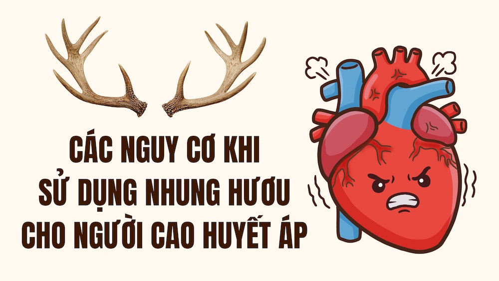 Risks when using deer velvet for people with high blood pressure