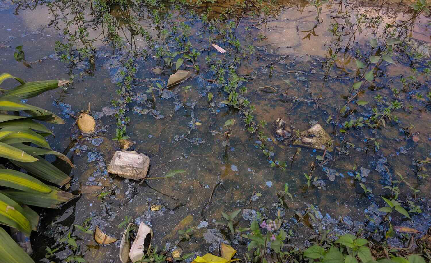 Nước thải đen đục, nổi váng bất thường xuất hiện ở kênh mương xung quanh nhà máy (ảnh chụp tháng 12.2026). Ảnh: PV