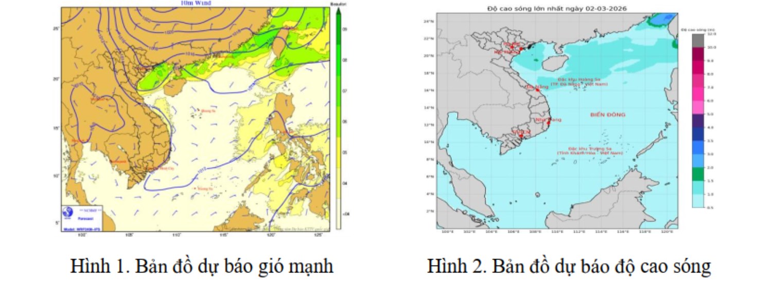 Da Nang warns of bad weather at sea. Photo: PTDS Board