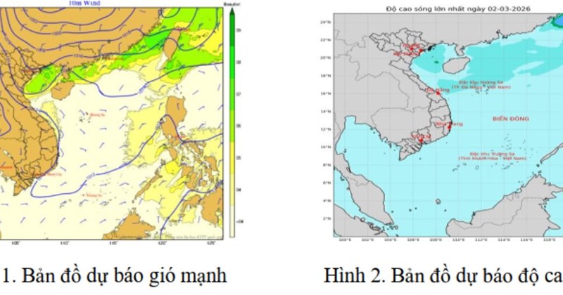 Đà Nẵng chủ động ứng phó mưa lớn, biển động