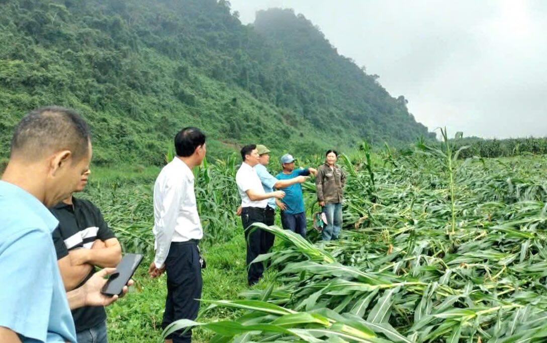 Chính quyền địa phương kiểm tra thiệt hại. Ảnh: Thanh Xuân