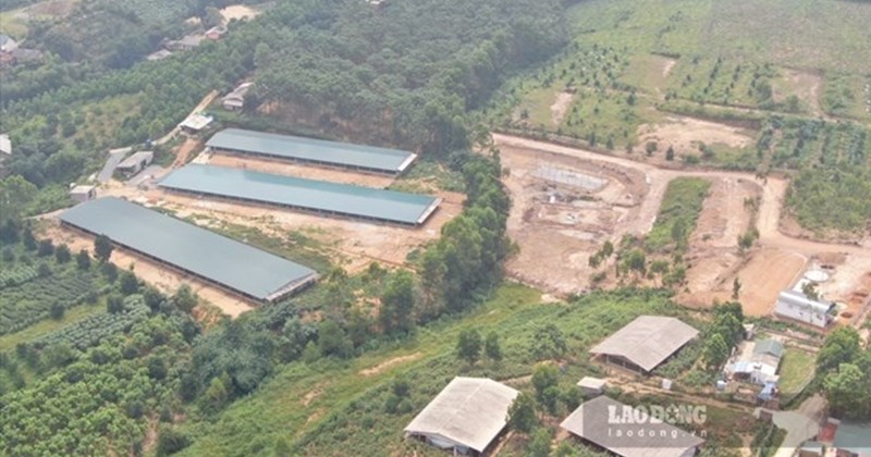 Nhiều xã Phú Thọ "trắng" rừng, tỷ lệ che phủ 0 - dưới 1%