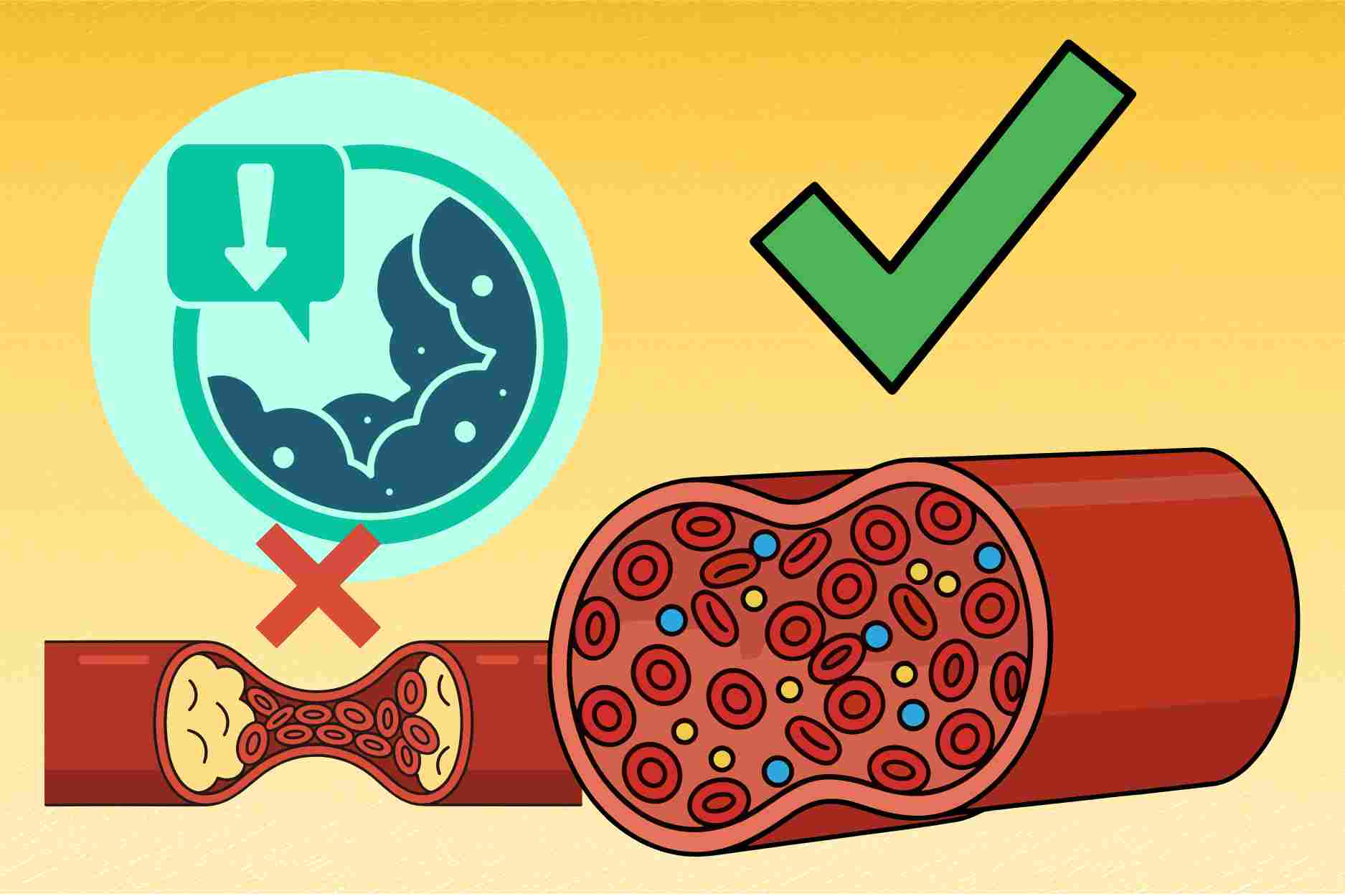 4 food groups that help reduce natural LDL cholesterol