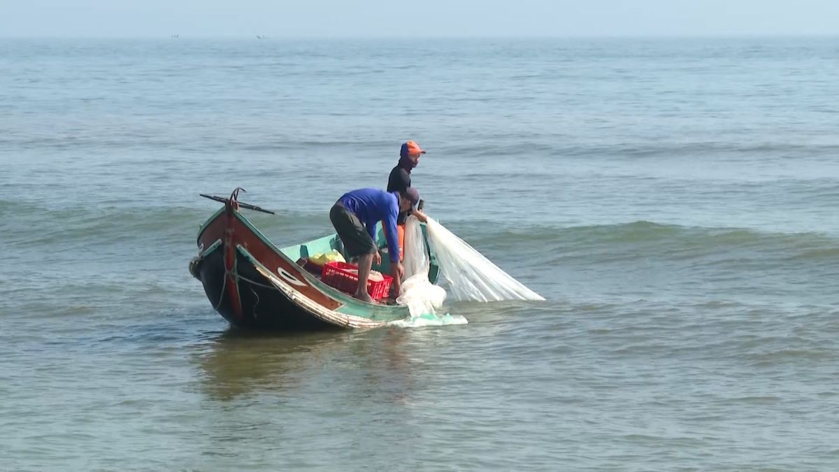 Chỉ vài giờ đánh bắt, mỗi thuyền thu về khoảng 3 đến 4 tạ ruốc biển. Ảnh: Thanh Trung