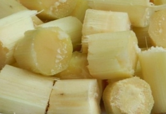 Sugarcane is said to have the ability to support kidney and liver nourishment when used in the correct amount. Photo: Kieu Vu