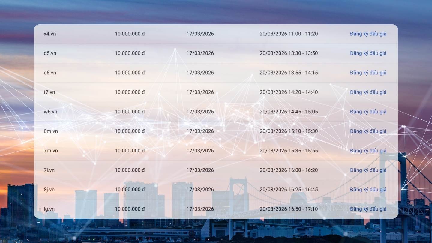 List of ".vn" domain names auctioned on March 20, starting price from 10 million VND