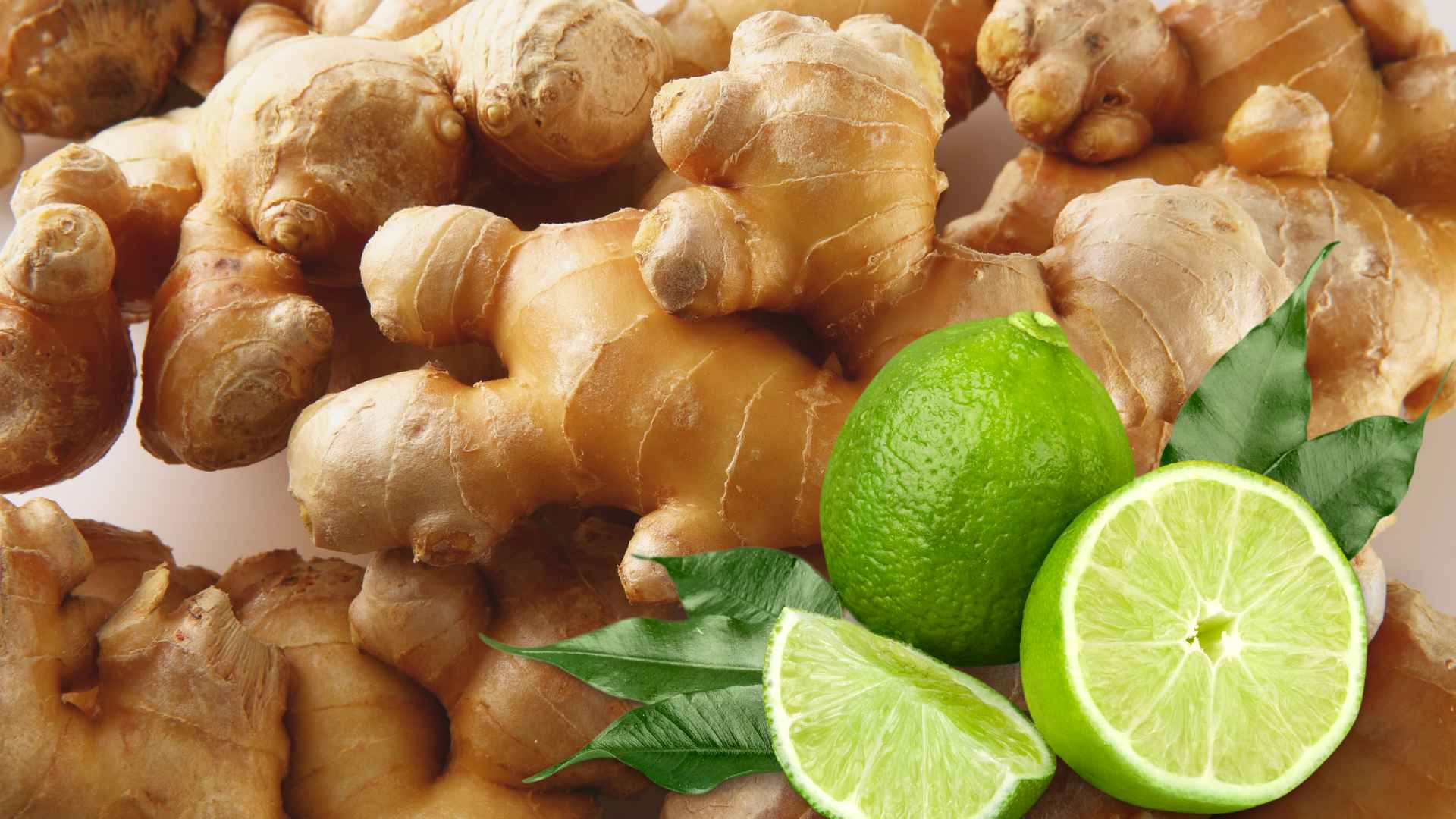 Ginger combined with lemon helps reduce visceral fat effectively. Graphic photo: Huong Son