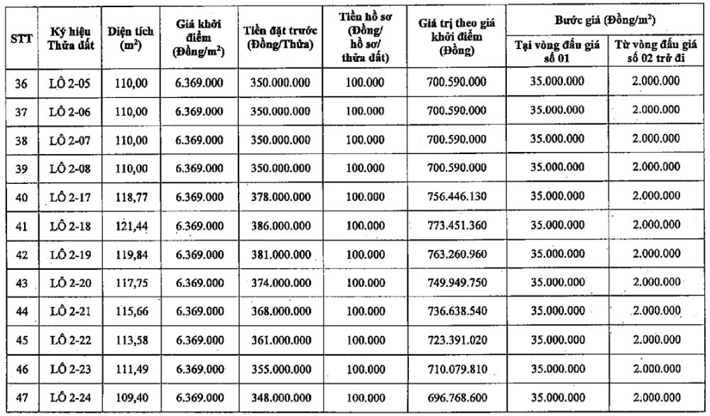 Thông tin phiên đấu giá 47 thửa đất tại điểm HK-04, thôn Hoàng Xá, xã Yên Lãng, thành phố Hà Nội. Ảnh: