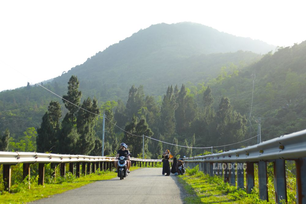 Điểm nhấn của cung đường là hai hàng thông xanh, tạo khung cảnh tựa góc trời châu Âu. Ảnh: Thanh Huyền