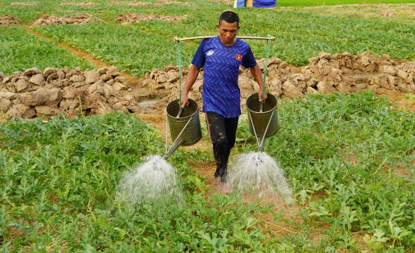 Stockpiling rainwater, combining groundwater and groundwater exploitation to ensure sufficient water for production and living to prevent saltwater intrusions. Photo: Phuong Anh