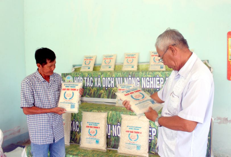 Mr. Nguyen Van Doi (left) and Mr. Cao Tho Truong - Director, Deputy Director of Binh Thanh Agricultural Service Cooperative (Dong Thap). Photo: Thanh Mai