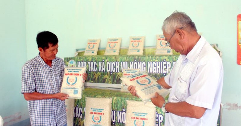 Doanh nghiệp Đồng bằng sông Cửu Long tăng liên kết, tối ưu chi phí