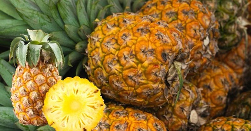 Giảm mỡ nội tạng hiệu quả khi kết hợp dứa với các phương pháp đơn giản
