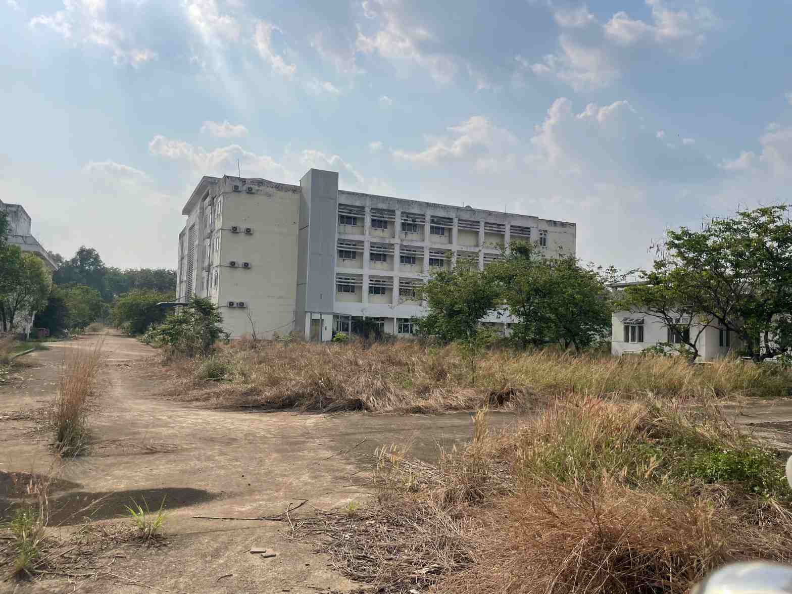 Cảnh tượng hoang hóa kéo dài nhiều năm nay. Ảnh: Đình Trọng