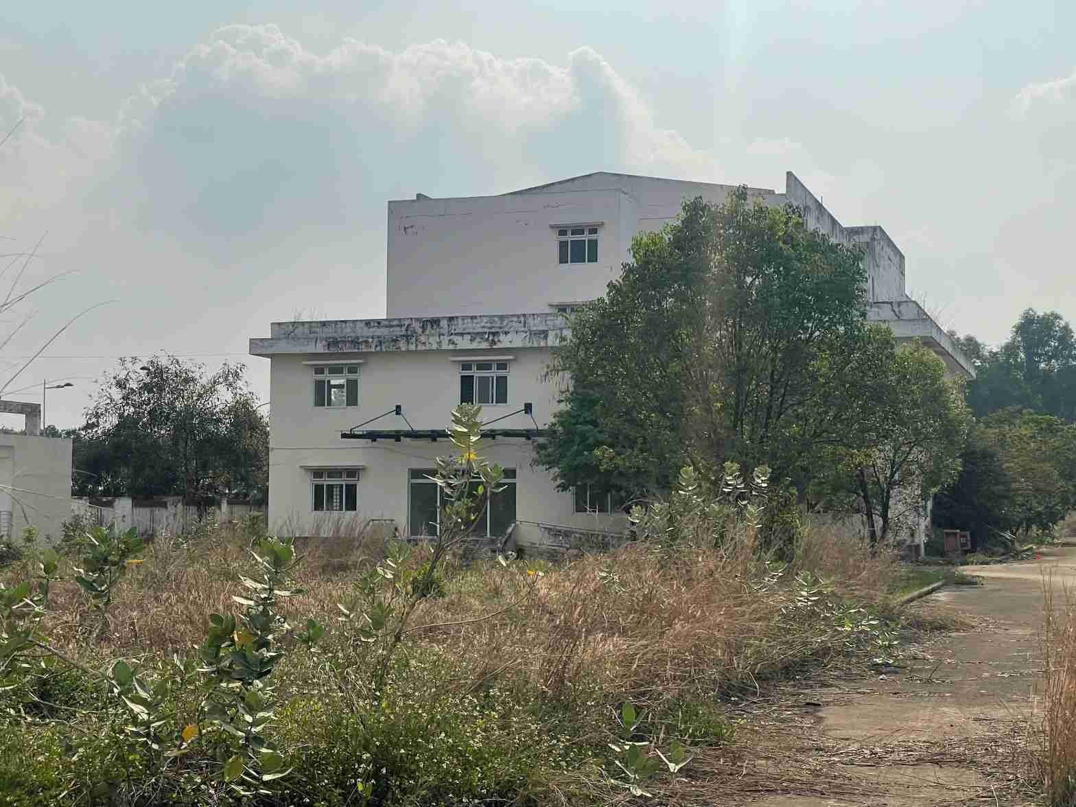 Bên trong bệnh viện cỏ cây um tùm. Ảnh: Đình Trọng