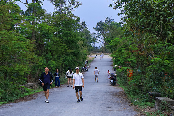 Con đường dẫn lên Đồi Thiên Văn rợp bóng cây xanh, nơi nhiều người dân lựa chọn để đi bộ, tập thể dục vào buổi sáng, chiều. Ảnh: Nguyễn Ngọc Huyền