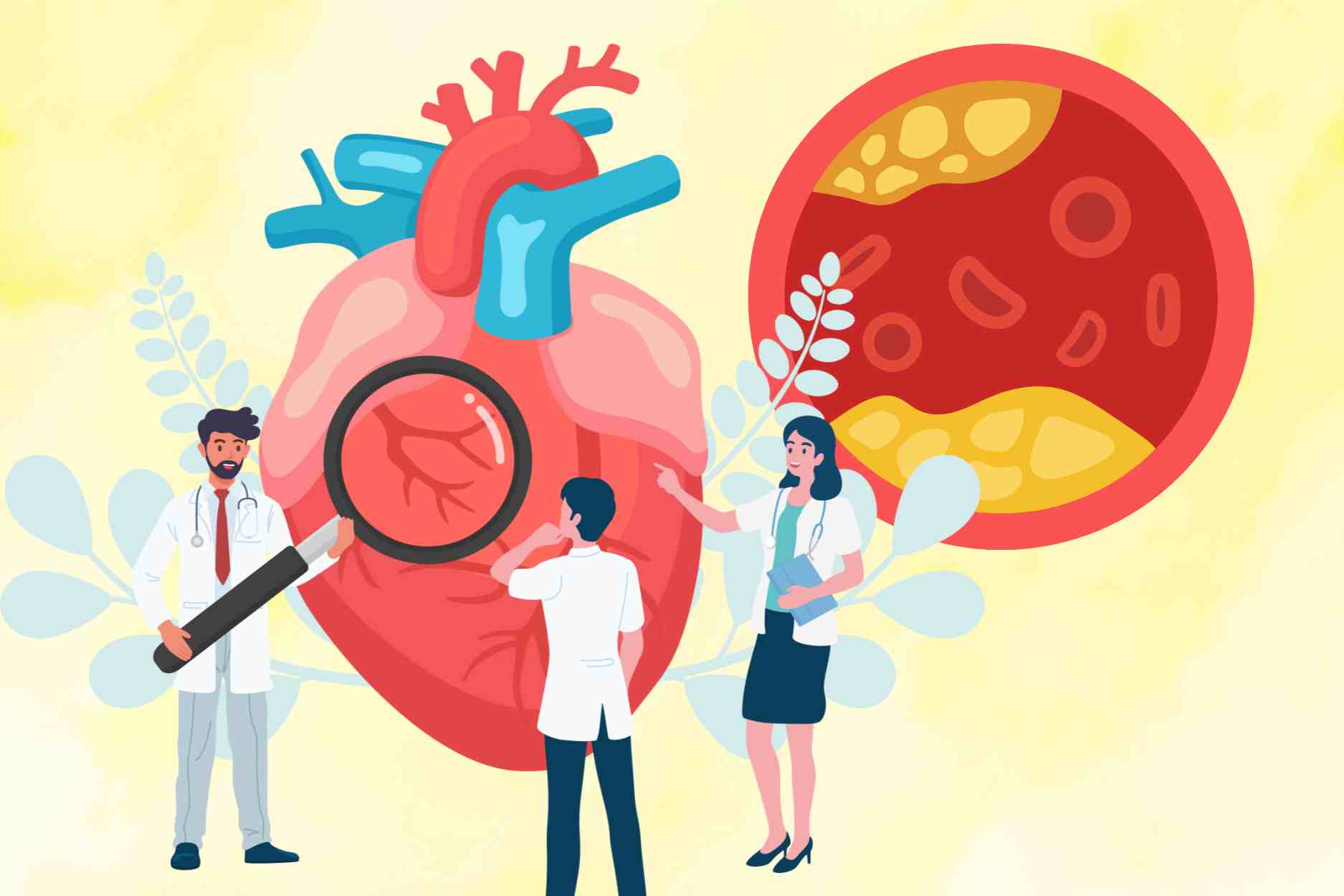 Seedsy fruit helps improve cardiovascular health