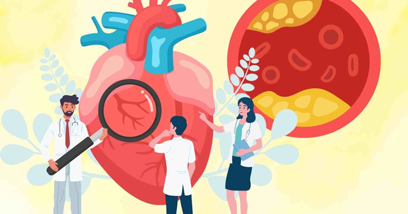 Trái cây Seedsy giúp cải thiện sức khỏe tim mạch