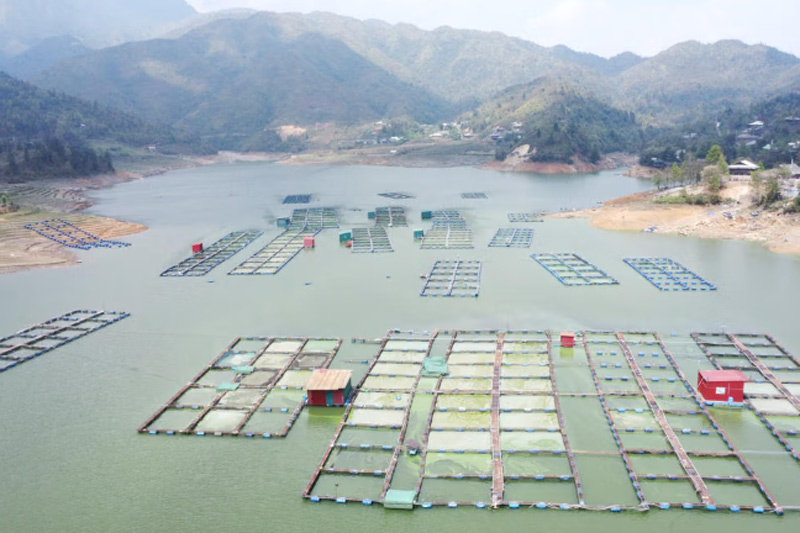 Hoạt động nuôi cá được xác định là một trong những nguyên nhân gây ô nhiễm. Ảnh: Ngô Hùng 