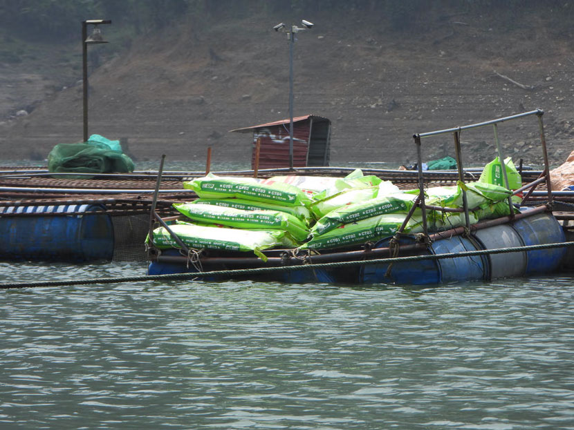 Các lồng bè nuôi cá trái phép gây ô nhiễm hồ thủy điện. Ảnh: Đinh Đại