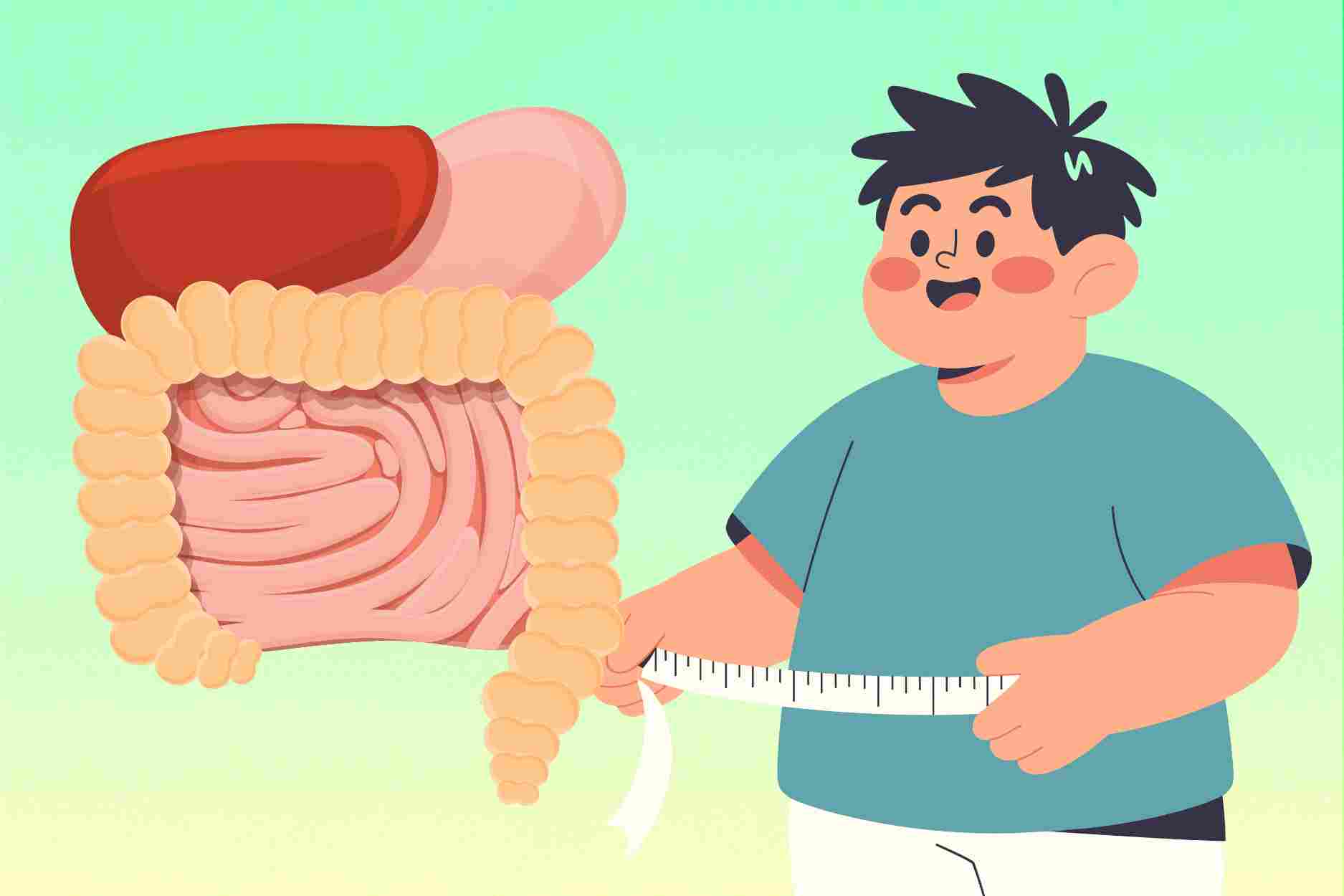 ¿Cómo la cintura grande destruye los órganos internos