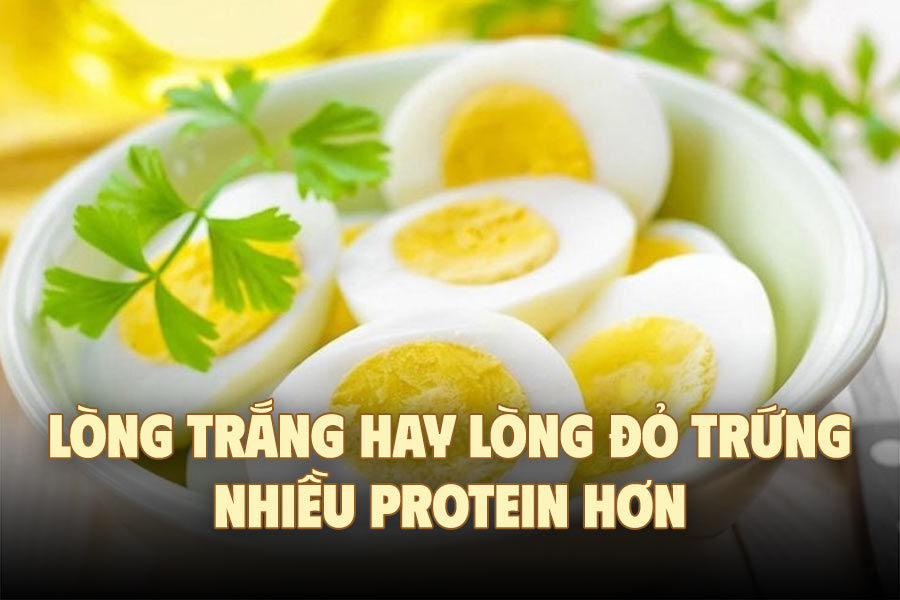 Egg whites or egg yolks are more protein