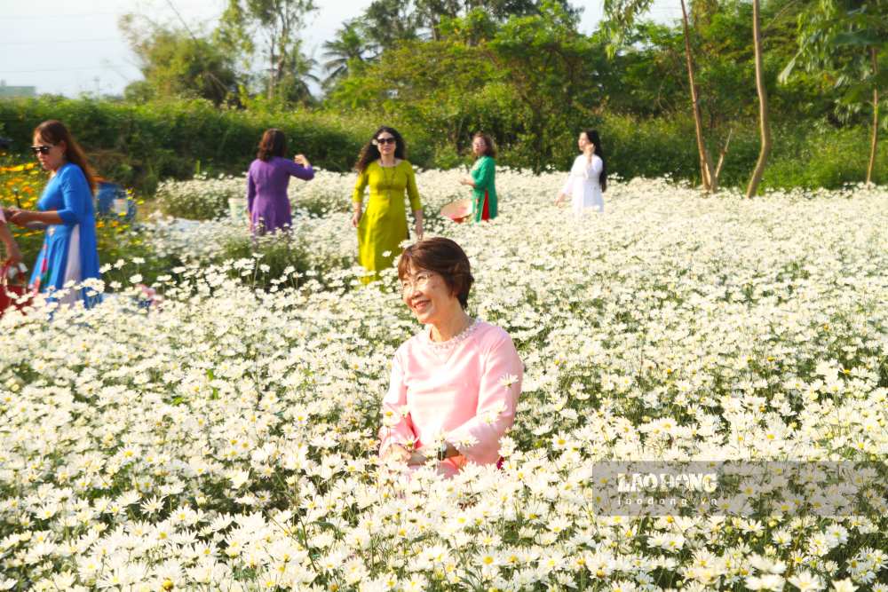 People and tourists stop to check-in at the daisies garden blooming in Da Nang City. Photo: Thanh Huyen