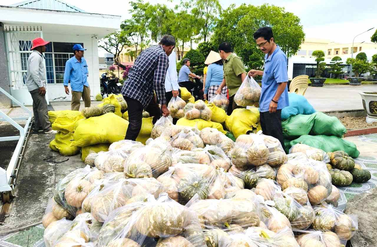 Associations and organizations in Ca Mau province buy pumpkins to rescue farmers. Photo: Nhat Ho.