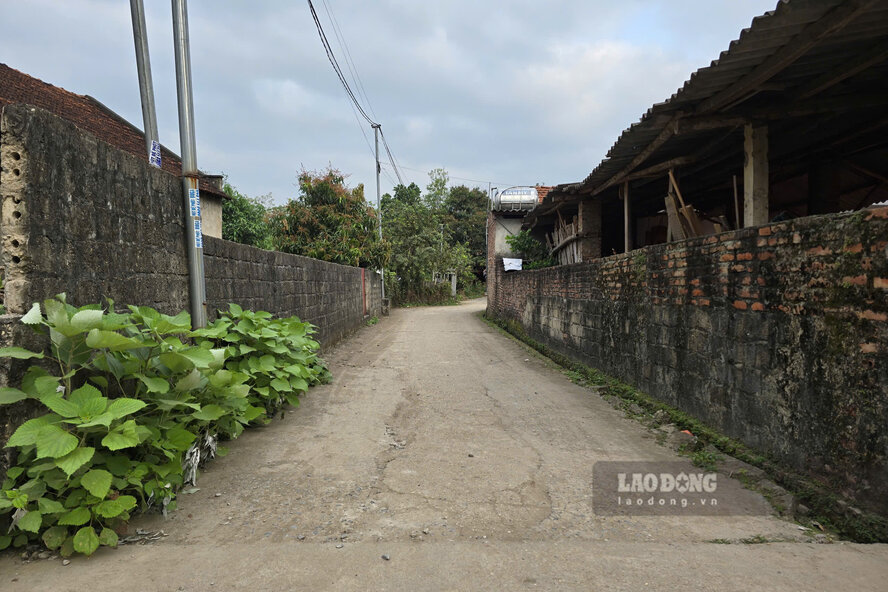 Ngõ nhỏ vào nhà chị Tâm tại khu 2, xã Hiền Quan. Ảnh: Tô Công