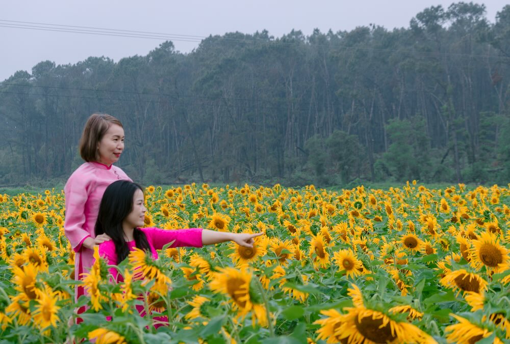 Vườn hoa do anh Chu Văn Quân – một người dân địa phương trồng thử nghiệm lần đầu trên vùng đất quê hương Bác Hồ.