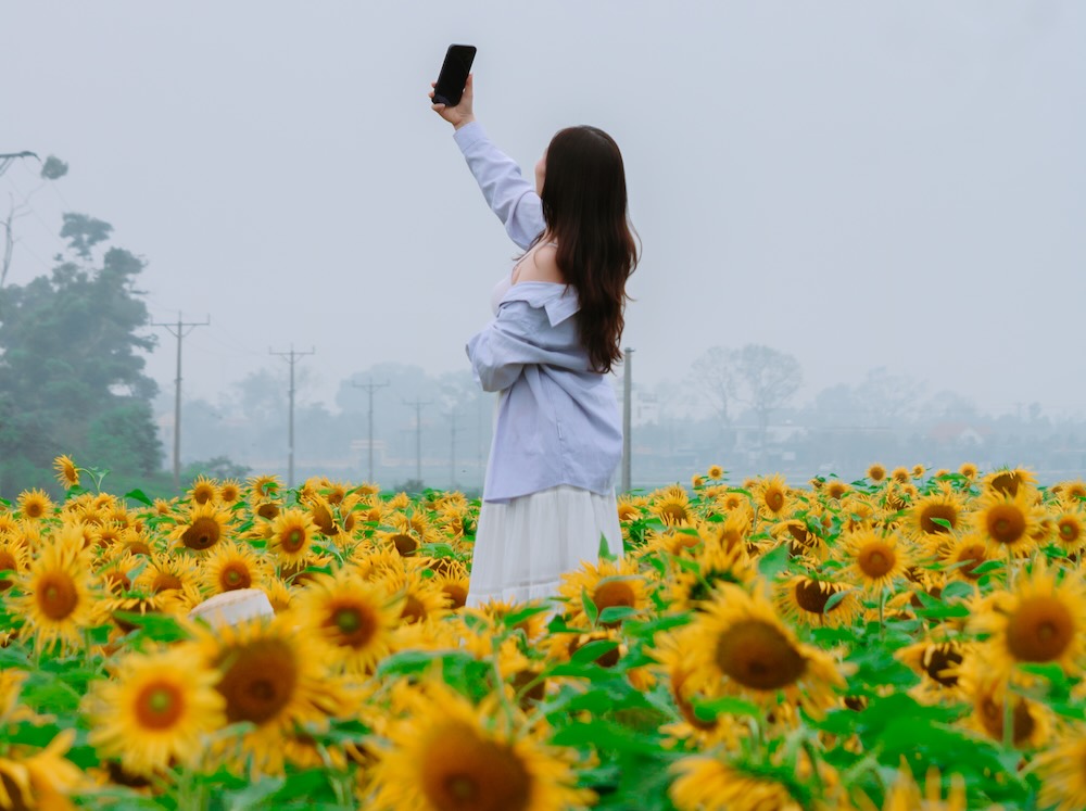 Vườn có quy mô hơn 20.000 cây, được định hướng phát triển theo mô hình nông nghiệp kết hợp du lịch trải nghiệm.